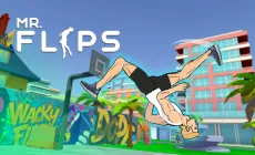 Mr Flip